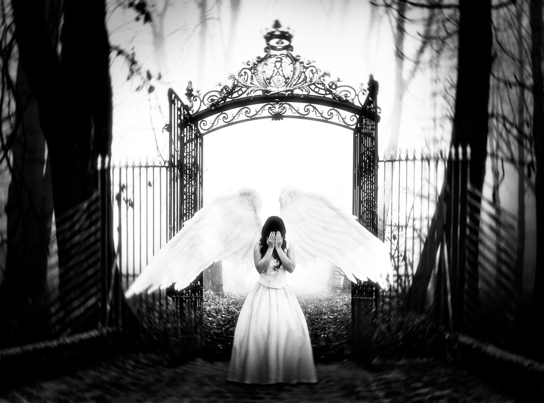 faiiryquadmother leak